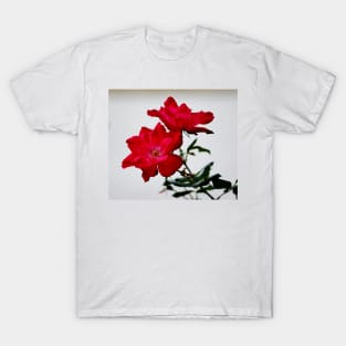 Color Me Red Flowers T-Shirt